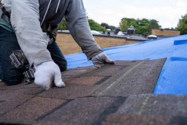 Best Storm Damage Roof Repair  in Five Points, OH