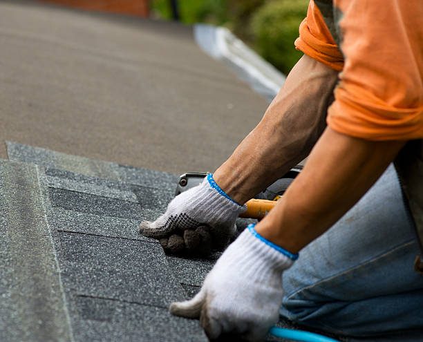 Best Roof Gutter Cleaning  in Five Points, OH